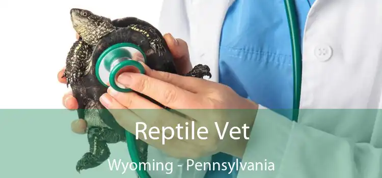Reptile Vet Wyoming - Pennsylvania