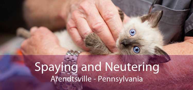 Spaying and Neutering Arendtsville - Pennsylvania