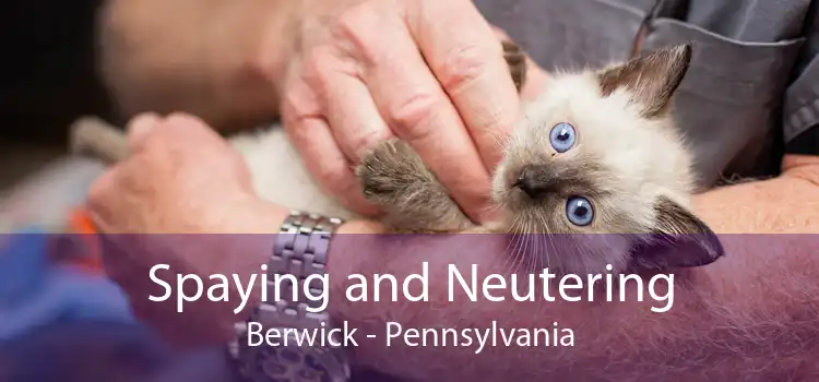 Spaying and Neutering Berwick - Pennsylvania