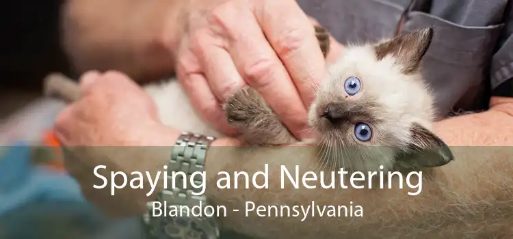 Spaying and Neutering Blandon - Pennsylvania