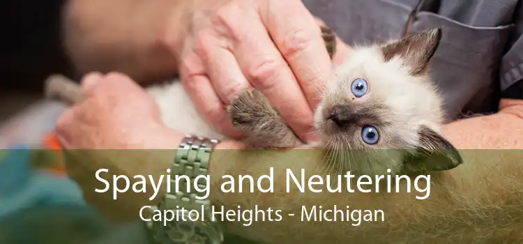 Spaying and Neutering Capitol Heights - Michigan