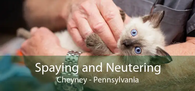Spaying and Neutering Cheyney - Pennsylvania