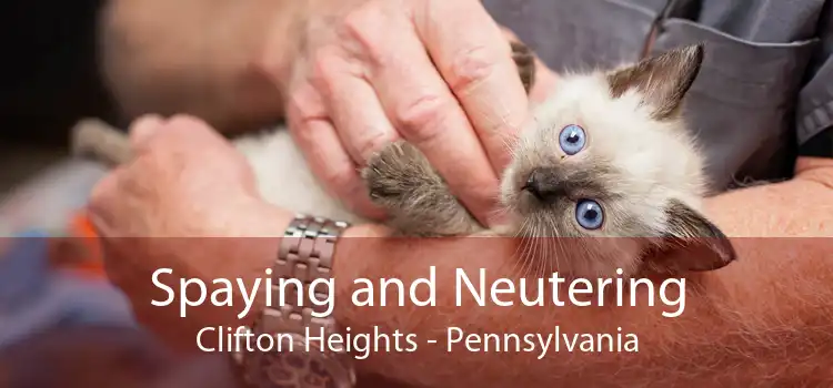Spaying and Neutering Clifton Heights - Pennsylvania