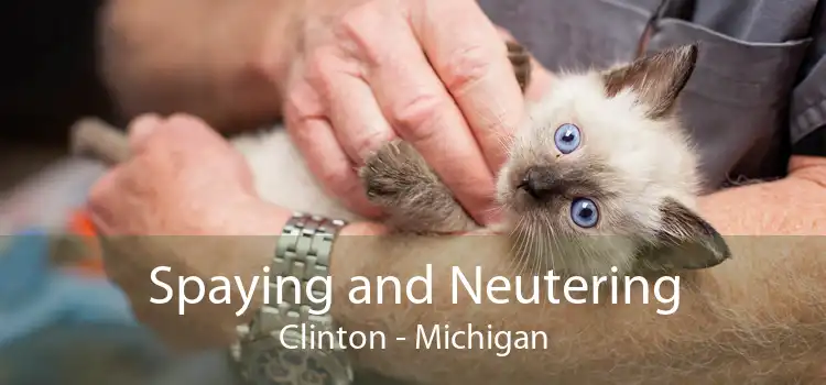 Spaying and Neutering Clinton - Michigan