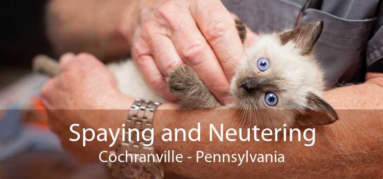 Spaying and Neutering Cochranville - Pennsylvania