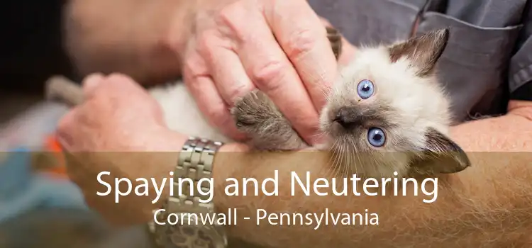 Spaying and Neutering Cornwall - Pennsylvania