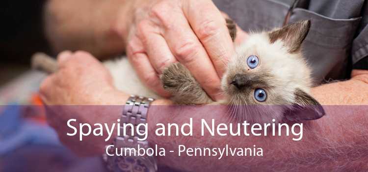 Spaying and Neutering Cumbola - Pennsylvania