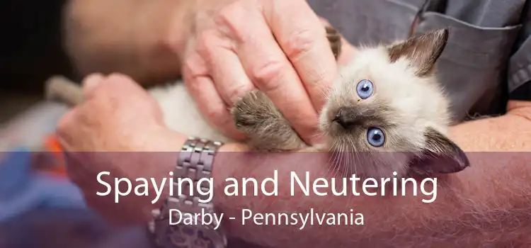 Spaying and Neutering Darby - Pennsylvania