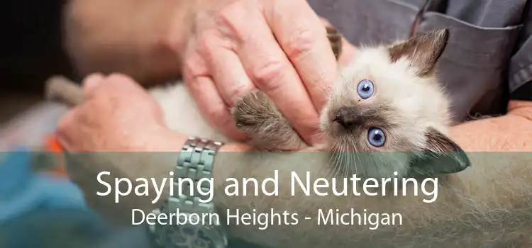 Spaying and Neutering Deerborn Heights - Michigan