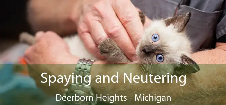 Spaying and Neutering Deerborn Heights - Michigan
