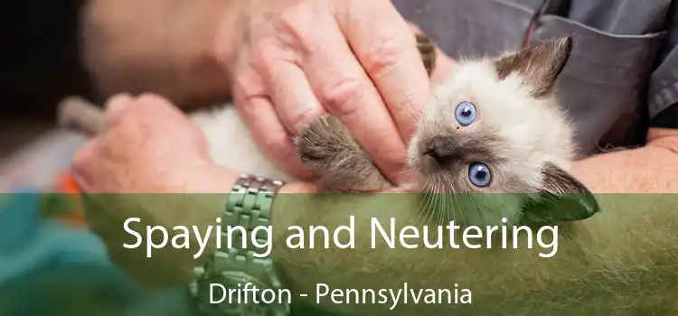 Spaying and Neutering Drifton - Pennsylvania