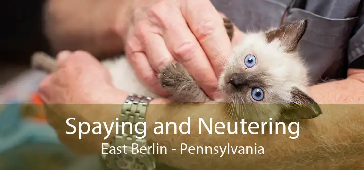 Spaying and Neutering East Berlin - Pennsylvania