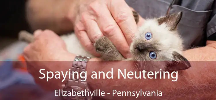 Spaying and Neutering Elizabethville - Pennsylvania