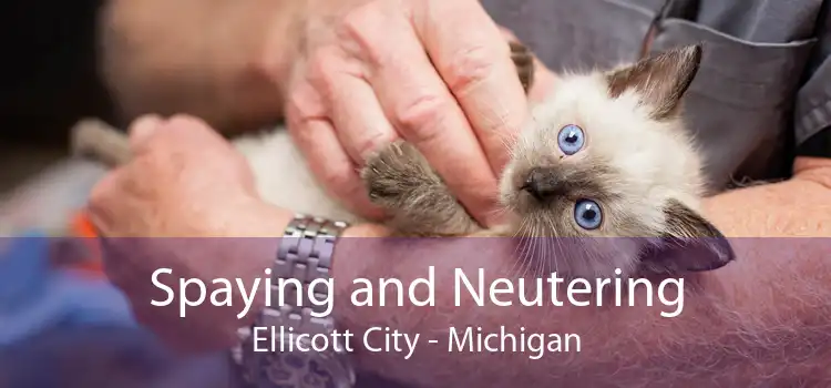 Spaying and Neutering Ellicott City - Michigan