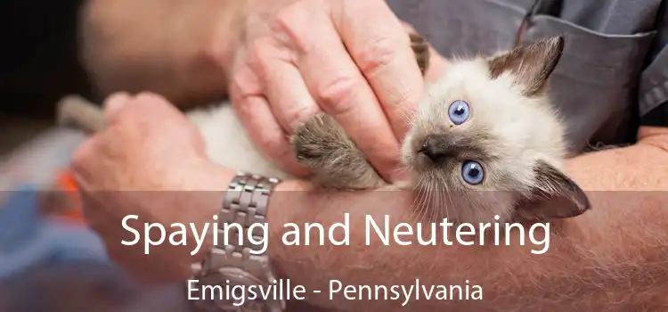 Spaying and Neutering Emigsville - Pennsylvania