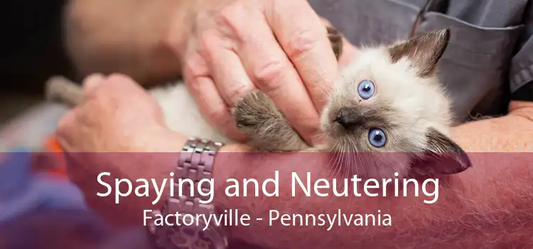 Spaying and Neutering Factoryville - Pennsylvania