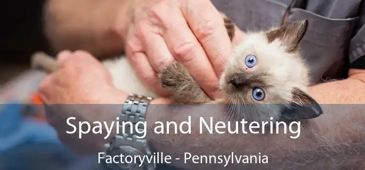 Spaying and Neutering Factoryville - Pennsylvania
