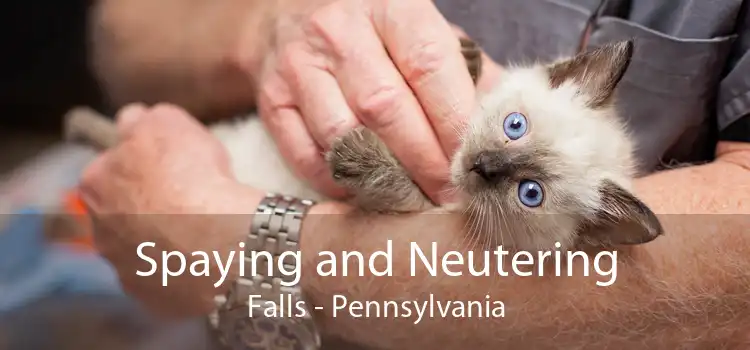 Spaying and Neutering Falls - Pennsylvania