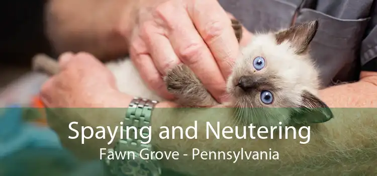 Spaying and Neutering Fawn Grove - Pennsylvania