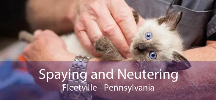 Spaying and Neutering Fleetville - Pennsylvania