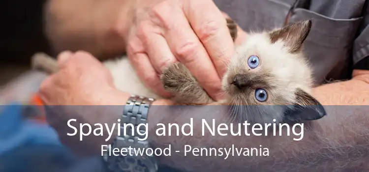 Spaying and Neutering Fleetwood - Pennsylvania