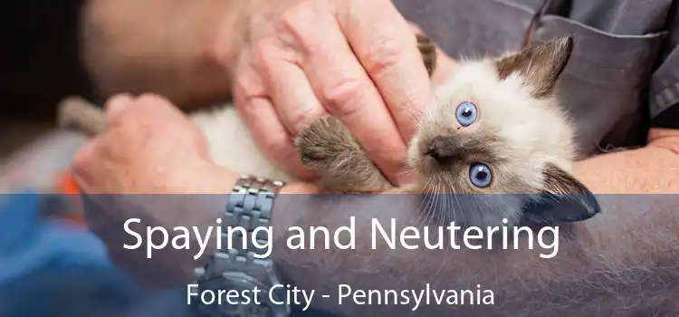 Spaying and Neutering Forest City - Pennsylvania