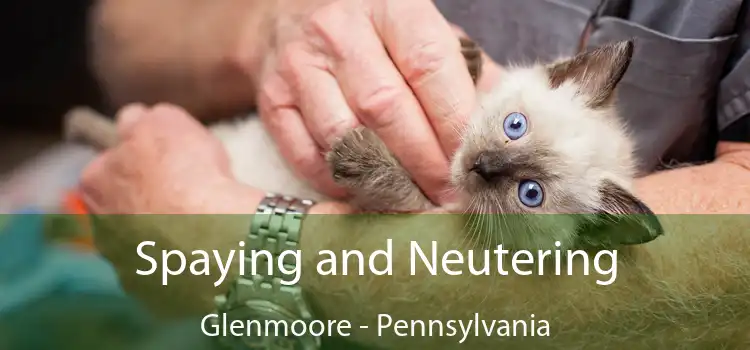 Spaying and Neutering Glenmoore - Pennsylvania