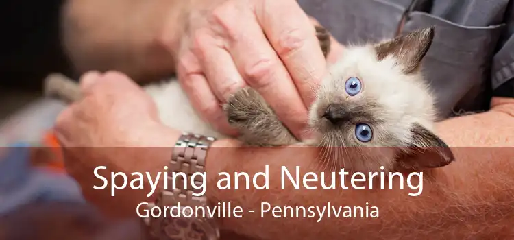 Spaying and Neutering Gordonville - Pennsylvania
