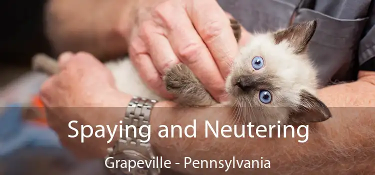 Spaying and Neutering Grapeville - Pennsylvania