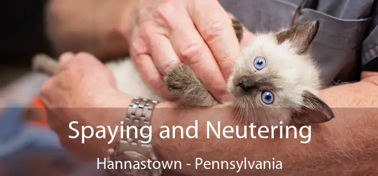Spaying and Neutering Hannastown - Pennsylvania