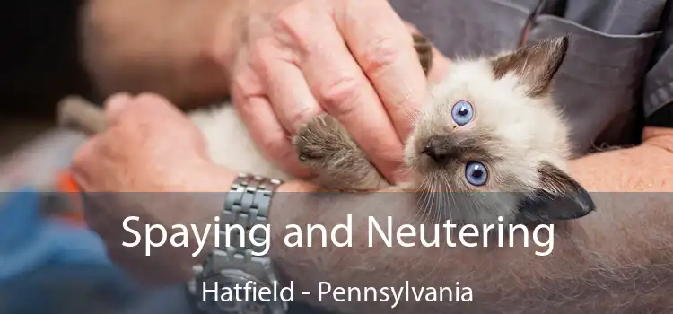 Spaying and Neutering Hatfield - Pennsylvania