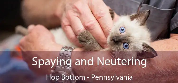 Spaying and Neutering Hop Bottom - Pennsylvania