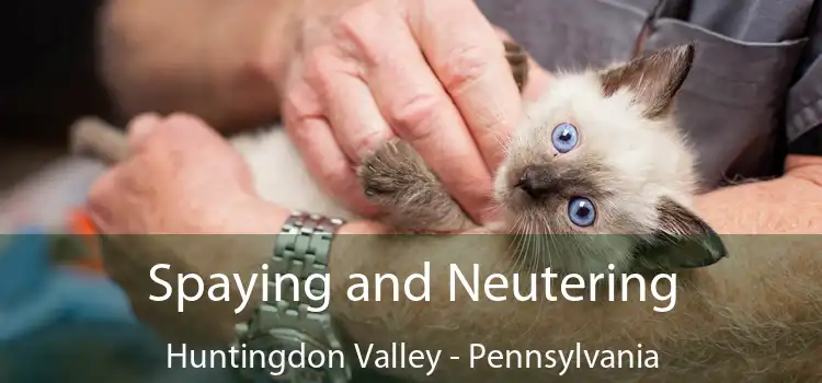 Spaying and Neutering Huntingdon Valley - Pennsylvania