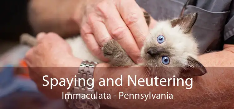 Spaying and Neutering Immaculata - Pennsylvania