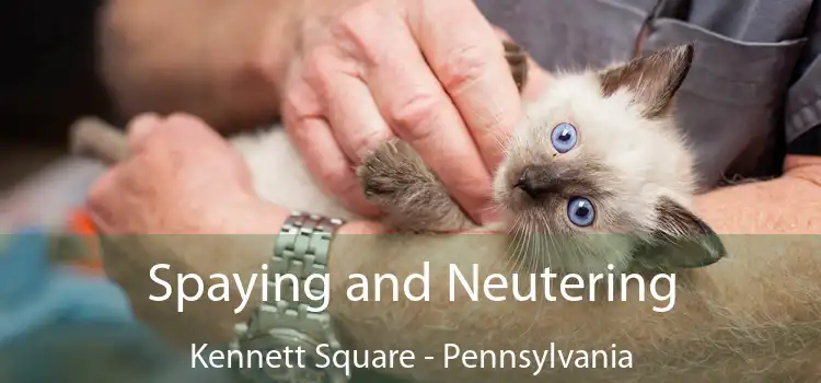 Spaying and Neutering Kennett Square - Pennsylvania
