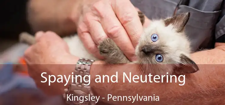 Spaying and Neutering Kingsley - Pennsylvania