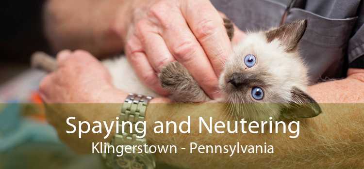 Spaying and Neutering Klingerstown - Pennsylvania