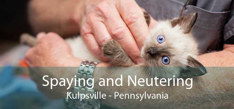 Spaying and Neutering Kulpsville - Pennsylvania