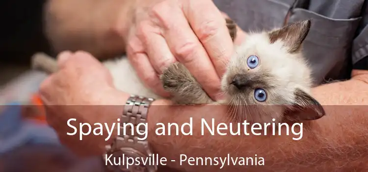 Spaying and Neutering Kulpsville - Pennsylvania