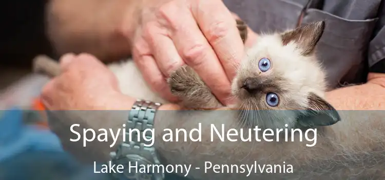 Spaying and Neutering Lake Harmony - Pennsylvania