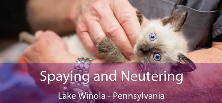 Spaying and Neutering Lake Winola - Pennsylvania