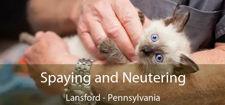 Spaying and Neutering Lansford - Pennsylvania