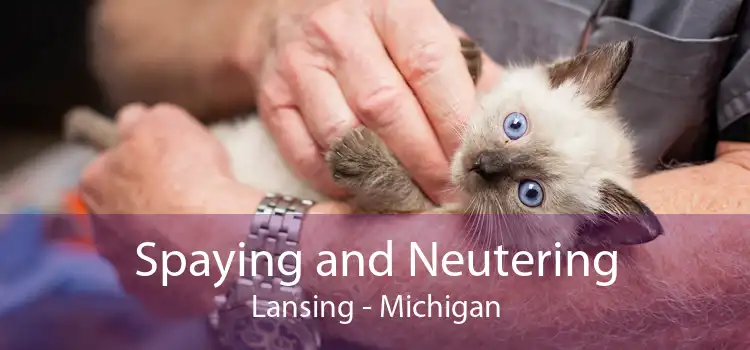 Spaying and Neutering Lansing - Michigan