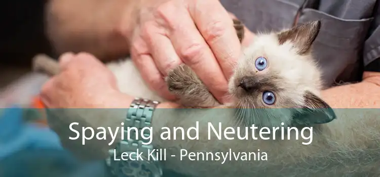 Spaying and Neutering Leck Kill - Pennsylvania