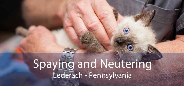 Spaying and Neutering Lederach - Pennsylvania