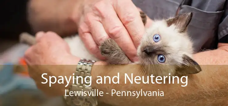 Spaying and Neutering Lewisville - Pennsylvania