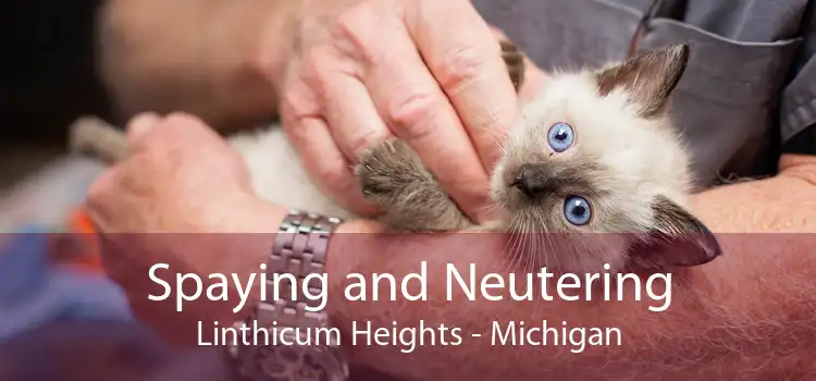 Spaying and Neutering Linthicum Heights - Michigan