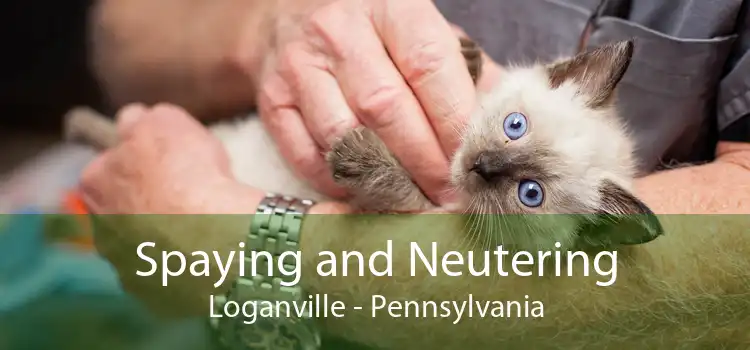 Spaying and Neutering Loganville - Pennsylvania
