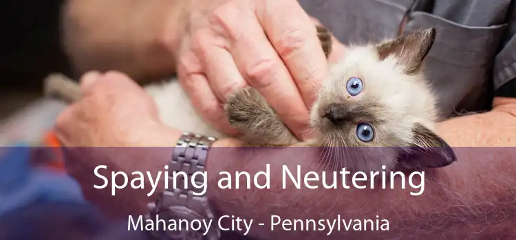 Spaying and Neutering Mahanoy City - Pennsylvania