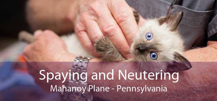 Spaying and Neutering Mahanoy Plane - Pennsylvania